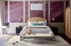 Acrylic And Leather Luggage Rack -Cb2 BobilaCaneQueenBedWendellOC18