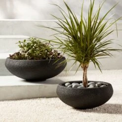 Boka Black Indoor/Outdoor Planter Bowl Small -Cb2 BokaBlkPlanterBowlGroupFHS20