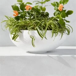 Boka White Concrete Indoor/Outdoor Planter Bowl Small -Cb2 BokaWhitePlanterBowlSmAVSHS23
