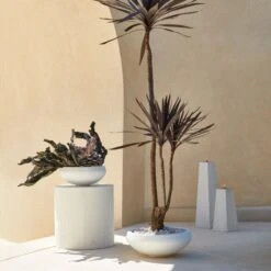 Boka White Concrete Indoor/Outdoor Planter Bowl Small -Cb2 CB2SU23 12B RET 1