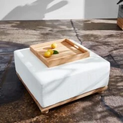 Giacomo Teak Decorative Tray -Cb2 CB2SU23 RC PR 002