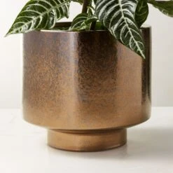 Dia Metallic Bronze Indoor Planter -Cb2 DiaMetallicPlanterAVSHS22
