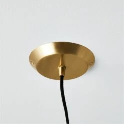 Exposior Brass Pendant Light Model 018 24.75" 12 Exposior Brass Pendant Light Model 018 24.75" -Cb2 ExposiorBrassPendantSSS21