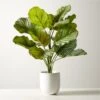 Faux Potted Watermelon Peperomia Plant 24" -Cb2 FxPttdWtrmlnPprmPlant24inSHF22