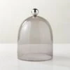 Smoked Glass Cloche With Stainless Steel Knob -Cb2 GlassClocheSmokedSHS23