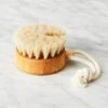 Iris Hantverk Bath Brush Puck -Cb2 IrisHantverkBathBrushPuckROF17