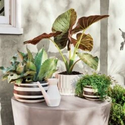 Cap Grey Cement Coffee Table -Cb2 MaxieGraphicStripedPlanterAP21 1x1