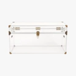 Mod Large Clear Acrylic Locker Trunk -Cb2 ModLockerLgF17