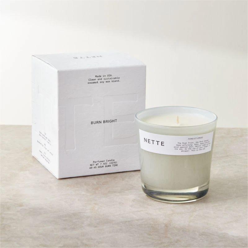 Nette Fons Et Origo Soy Wax Candle 4 Nette Fons Et Origo Soy Wax Candle - Image 2
