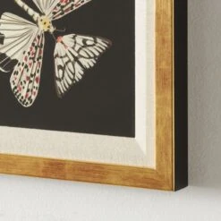 'Papillion' Framed Giclee Art Print 24"x24" -Cb2 Papillion24x24inAV2SHS22