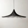 Pipa Black Pendant Light -Cb2 PipaBlackPendantSHF22