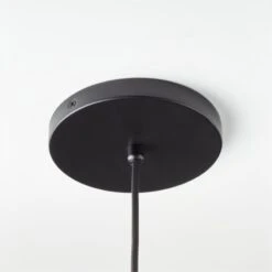 Pipa Black Pendant Light -Cb2 PipaBlackPendantSSF22