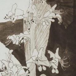 'Plant Study (Nettle)' Framed Reproduction By Carel Adolph Lion Cachet 18''x22'' -Cb2 PlantStudyNettle18x22inAVSHF22