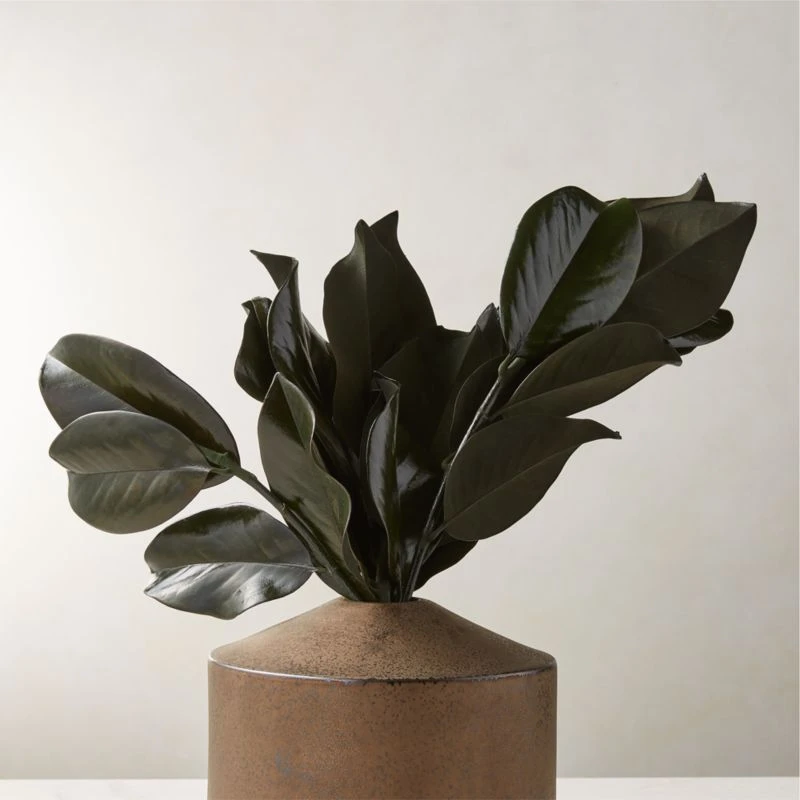 Preserved Magnolia Stems Set Of 3 3 Preserved Magnolia Stems Set Of 3