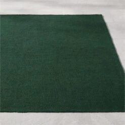 Rodes Performance Green Indoor/Outdoor Area Rug 5'x8' -Cb2 RodesTxtdPrfmGrnRug8x10SHS23