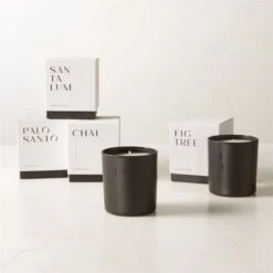 Stockhome Fig Tree Scented Candle 8oz -Cb2 StockhomeCandleGroupFHF23 1