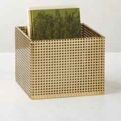 Tegan Perforated Brass Metal Storage Basket Small -Cb2 TeganBrassPrfrtdBasketAVSHS23