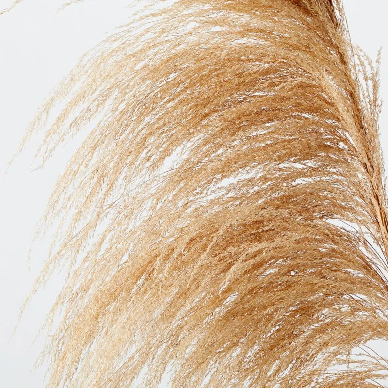 Uva Taupe Stalk 6'–8' Set Of 3 4 Uva Taupe Stalk 6'–8' Set Of 3 - Image 2